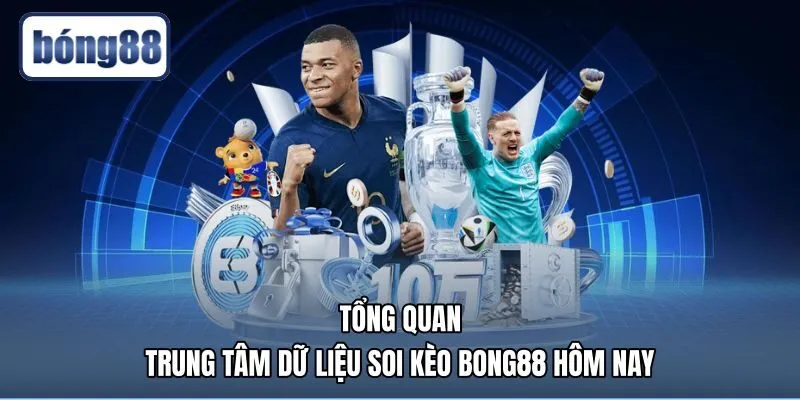Bảng dữ liệu soi kèo Bong88 cùng biến động tỷ lệ cược